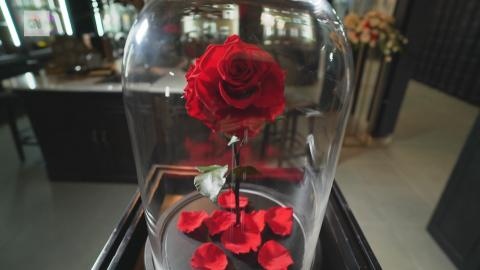 迪拜一花店出售永恒玫瑰售价8万美元